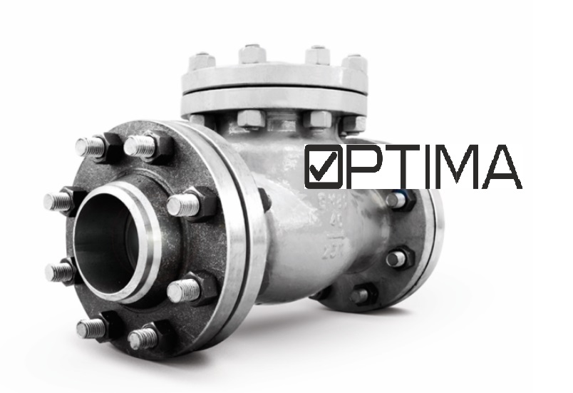 Клапан обратный 19с76нж Ру16 Ду300