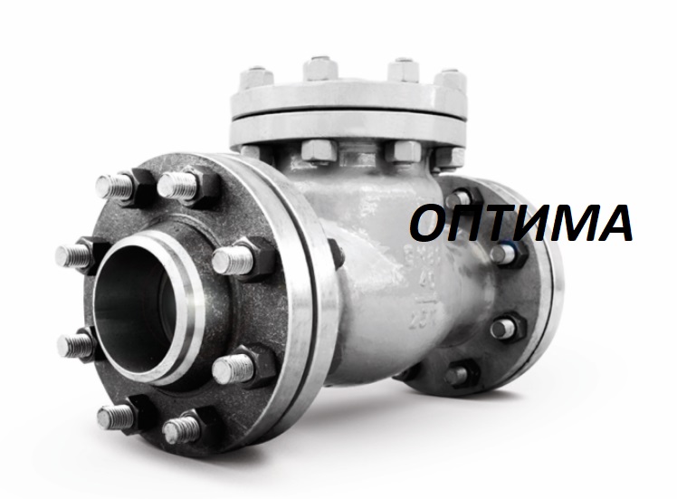 Клапан обратный 19с76нж Ру16 Ду50