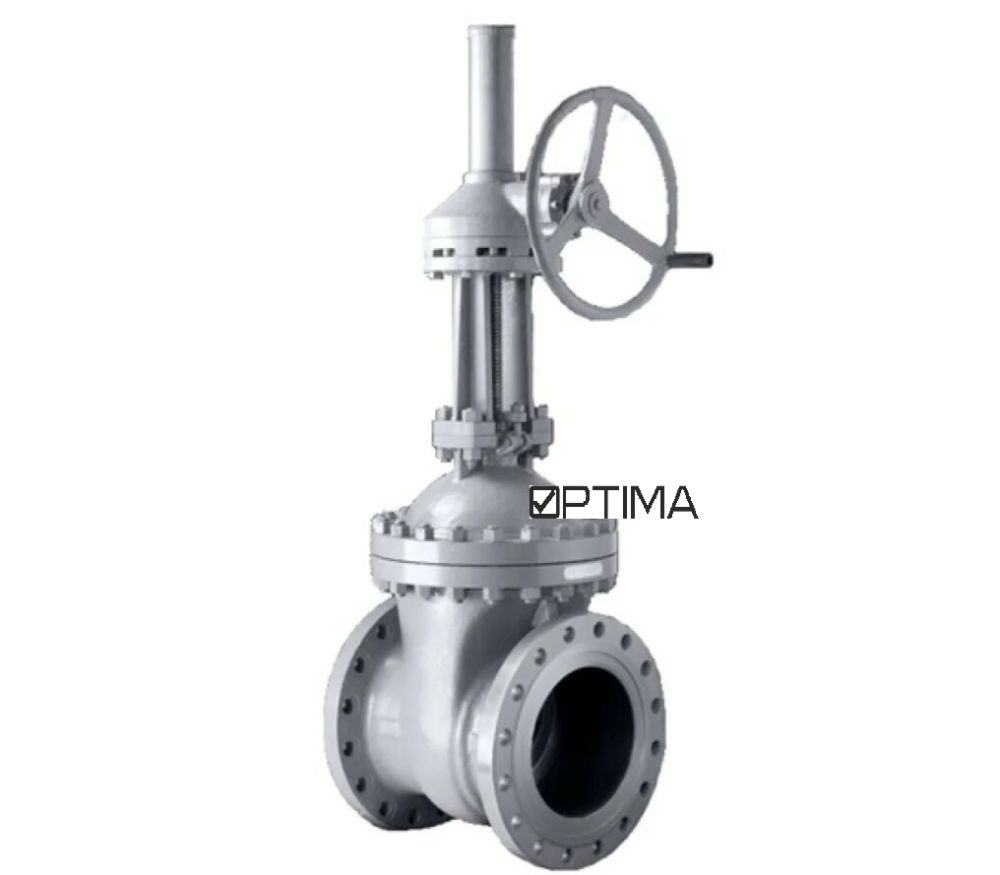 Задвижка 30лс576нж Ру63 Ду300