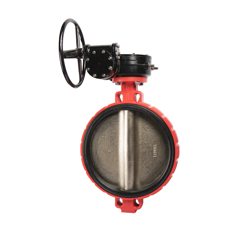 Затвор дисковый поворотный РАШВОРК 201, DN 40-600, PN16, межфланцевый, корпус - чугун GJL-250 (GG25), диск - нерж.сталь AISI304 (CF8), с редуктором