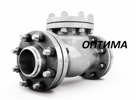 Клапан обратный 19с76нж Ру16 Ду50